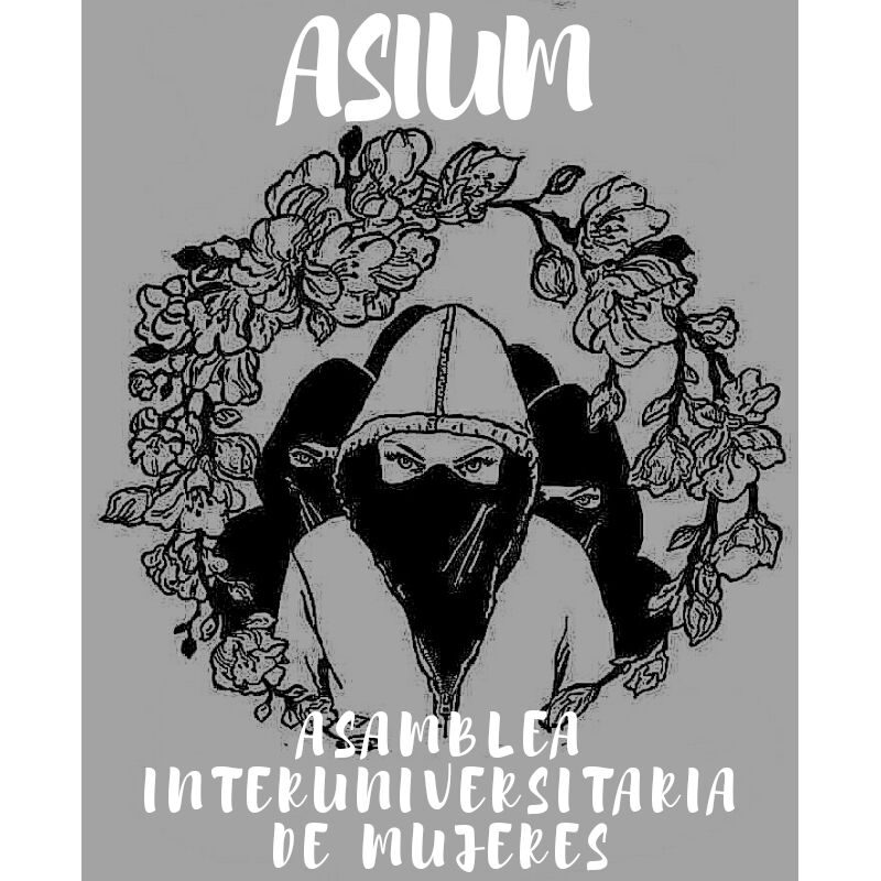 Asamblea Interuniversitaria de Mujeres (ASIUM)